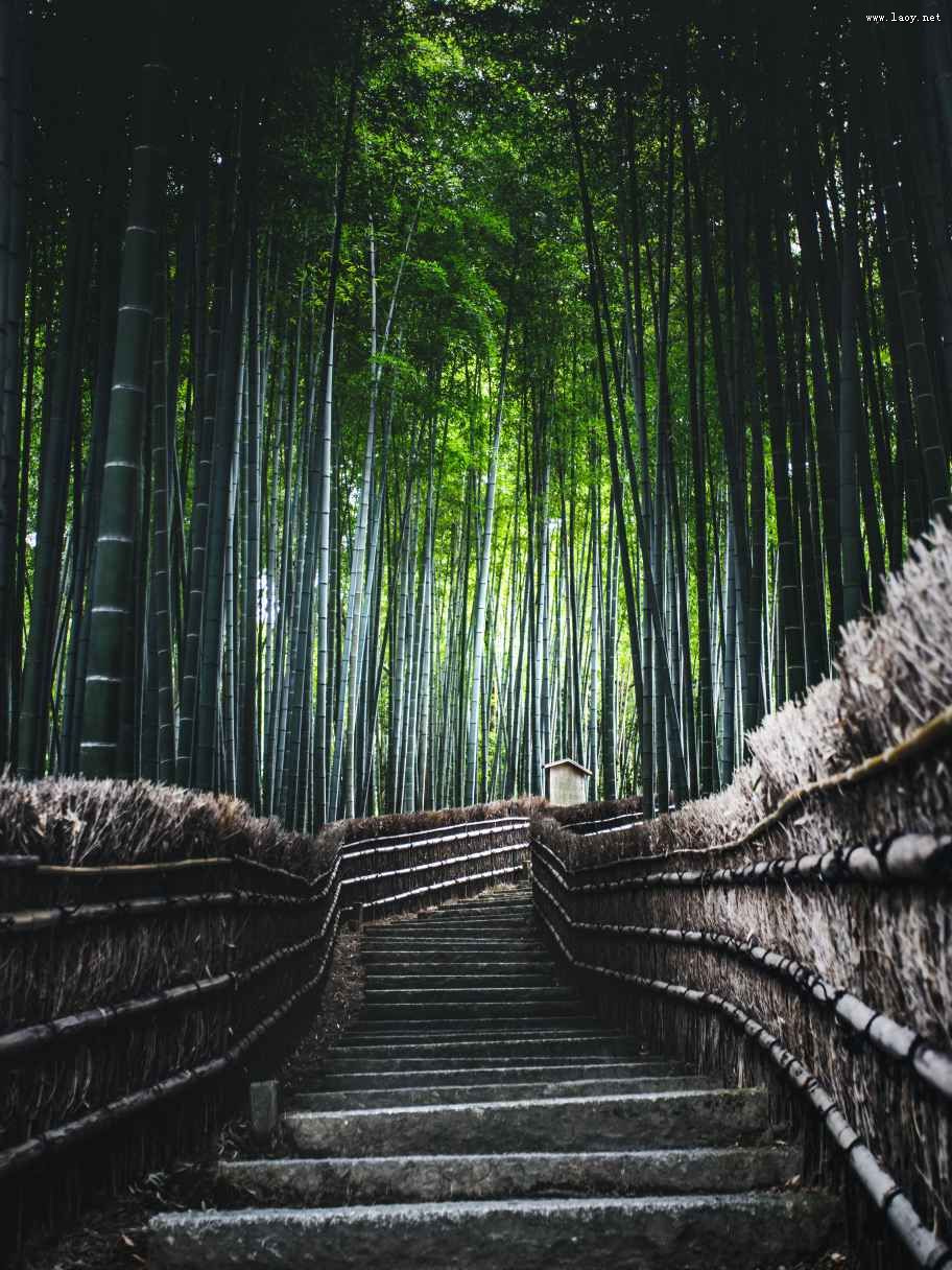 ʮ塱(w)Gɫa(chn)I(y)l(f)չ YЈ(chng)D(zhun)(j)