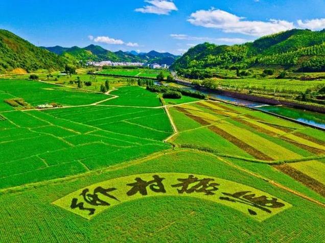 Сʮ塱gÿͶl(xing)dI(lng)Y1f|Ԫ